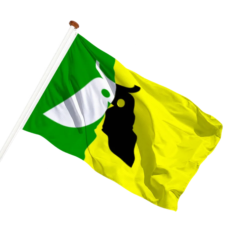 Vlag van Annen