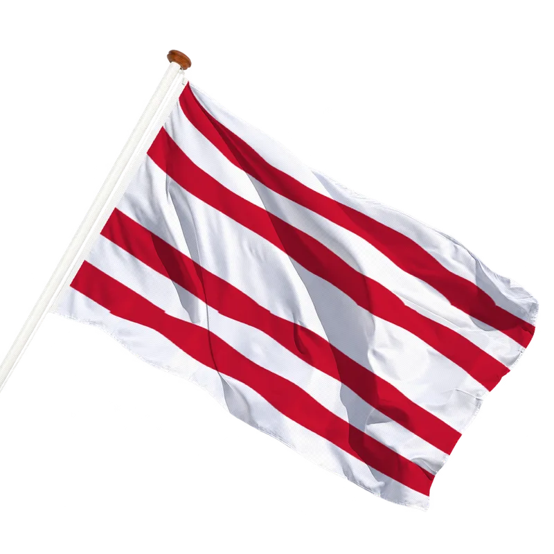 Vlag van Gorinchem
