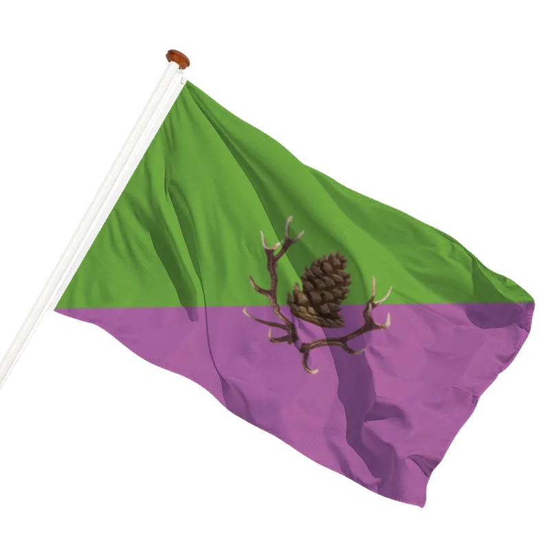 Vlag van Stroe