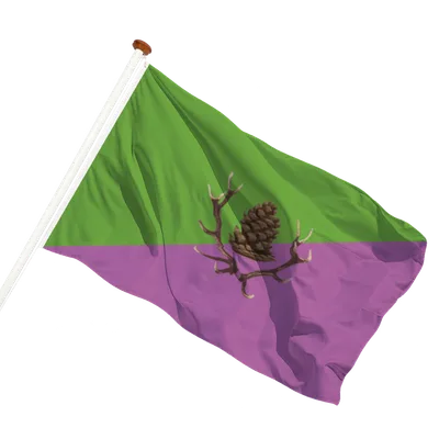 Transparant achtergrond