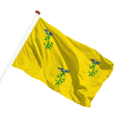 Transparant achtergrond