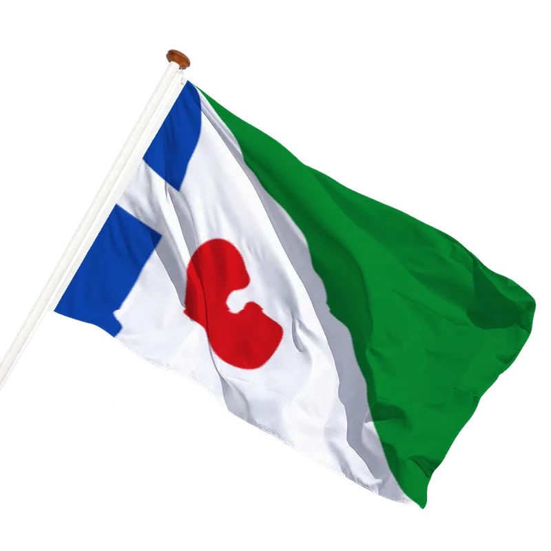 Vlag van Dedgum