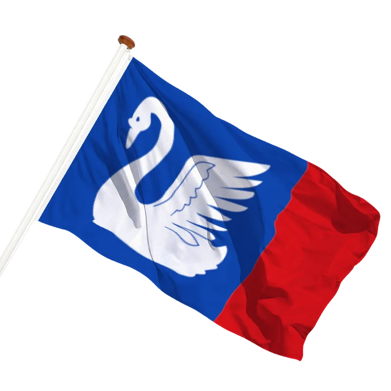 Vlag van Idaard
