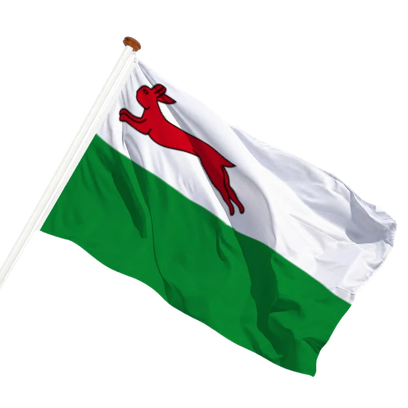 Vlag van Haskerhorne