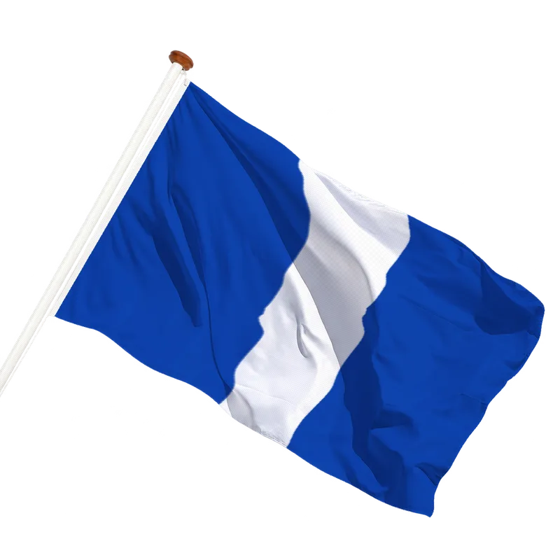 Vlag van Goudswaard