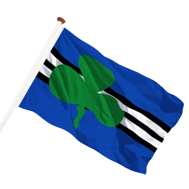 Vlag van Wijdewormer