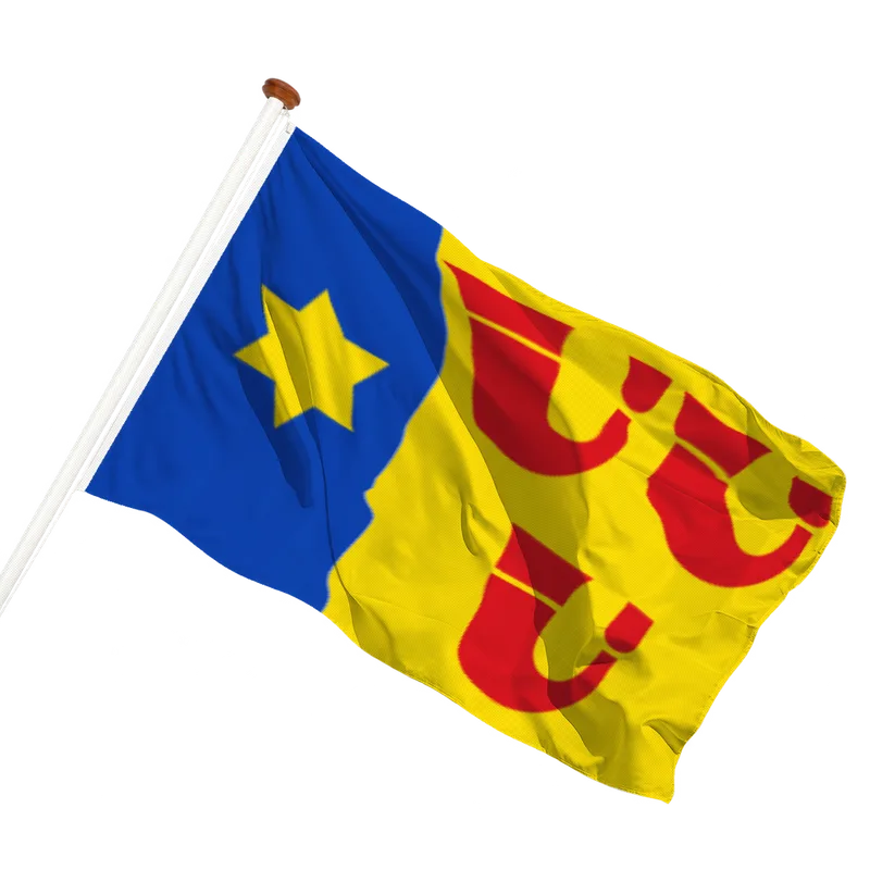 Vlag van Heeze