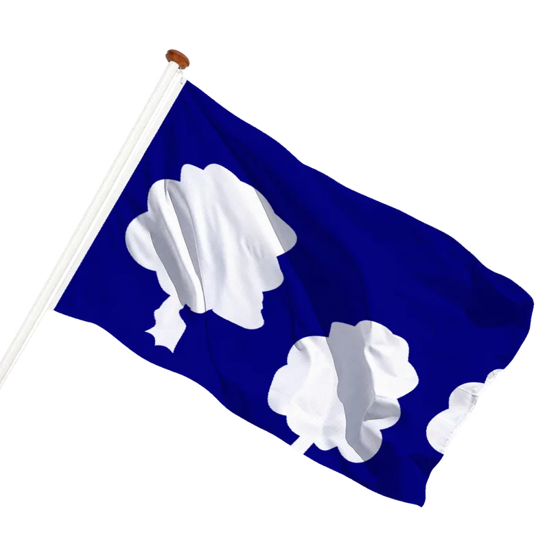 Vlag van Elden