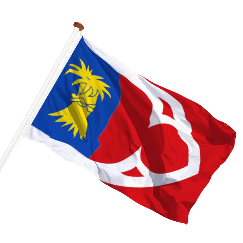 Vlag van Baijum
