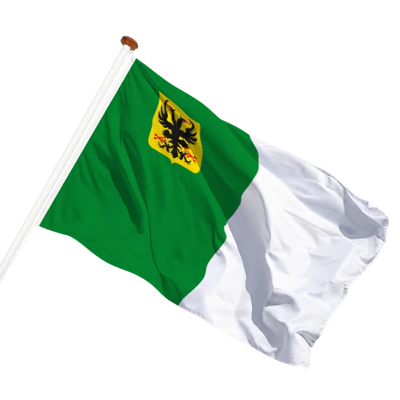 Vlag van Ronse