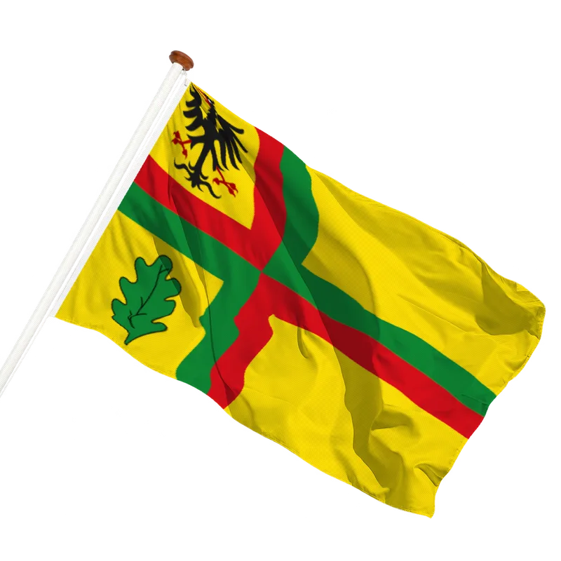Vlag van Zuidwolde