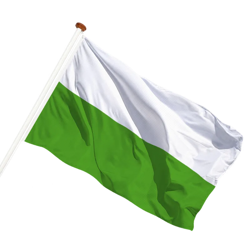 Vlag van Aalten