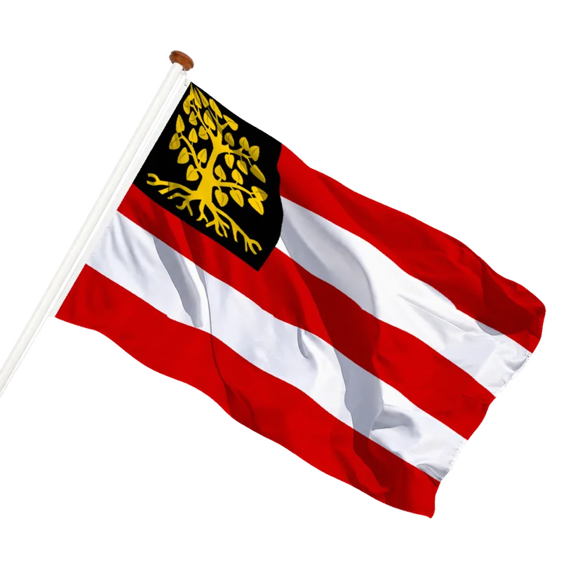 Vlag van 's-Hertogenbosch