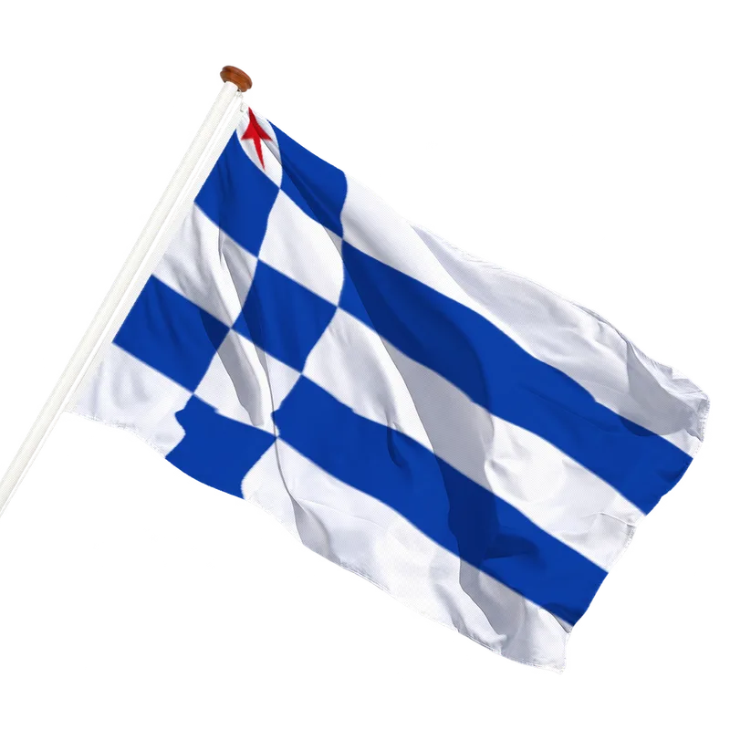 Vlag van Sleen