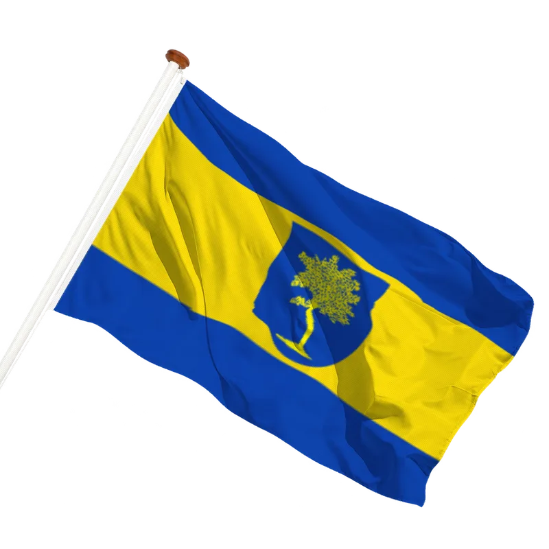 Vlag van Hoogwoud