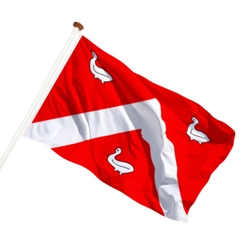 Vlag van Ens