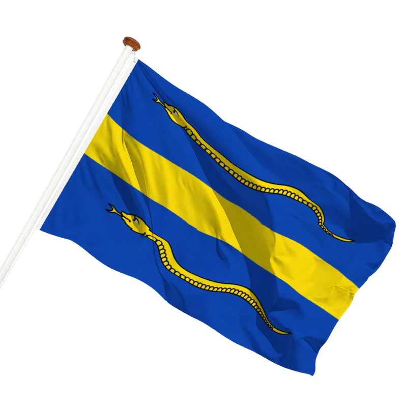 Vlag van Pijnacker-Nootdorp