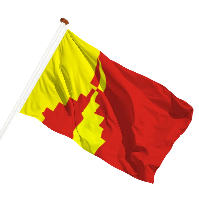 Vlag van Anloo