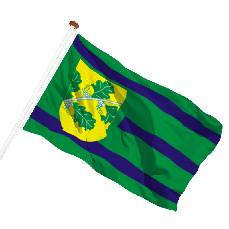 Vlag van Nijeholtpade