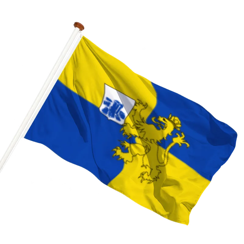 Vlag van Steenderen