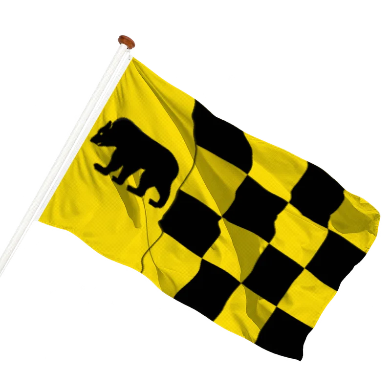 Vlag van Berlicum