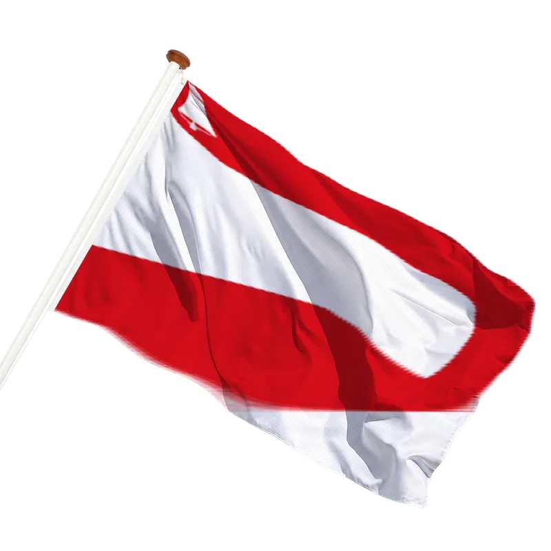Vlag van Nieuwe Pekela