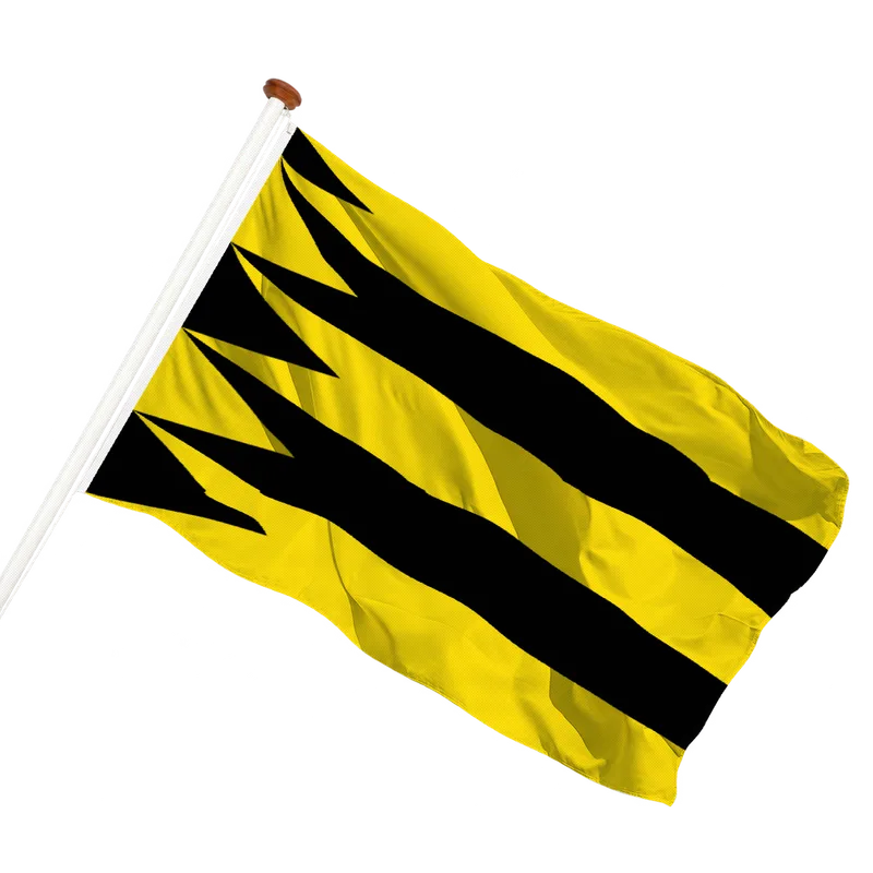 Vlag van Diepenveen