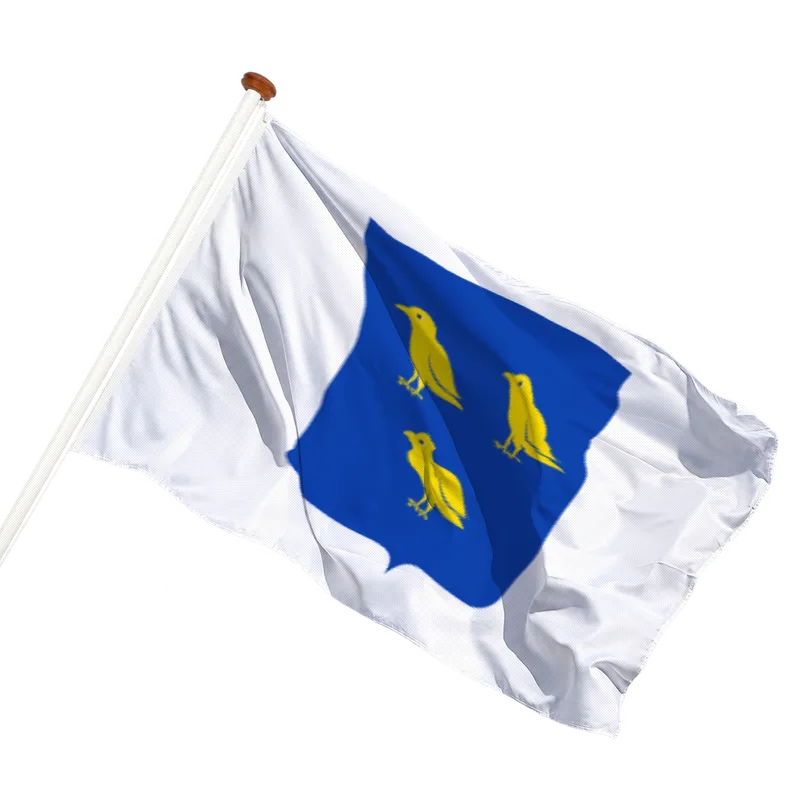 Vlag van Waspik