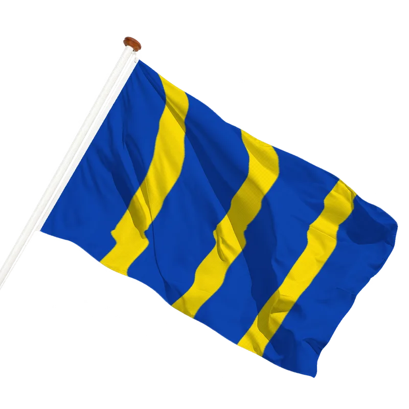 Vlag van Twisk
