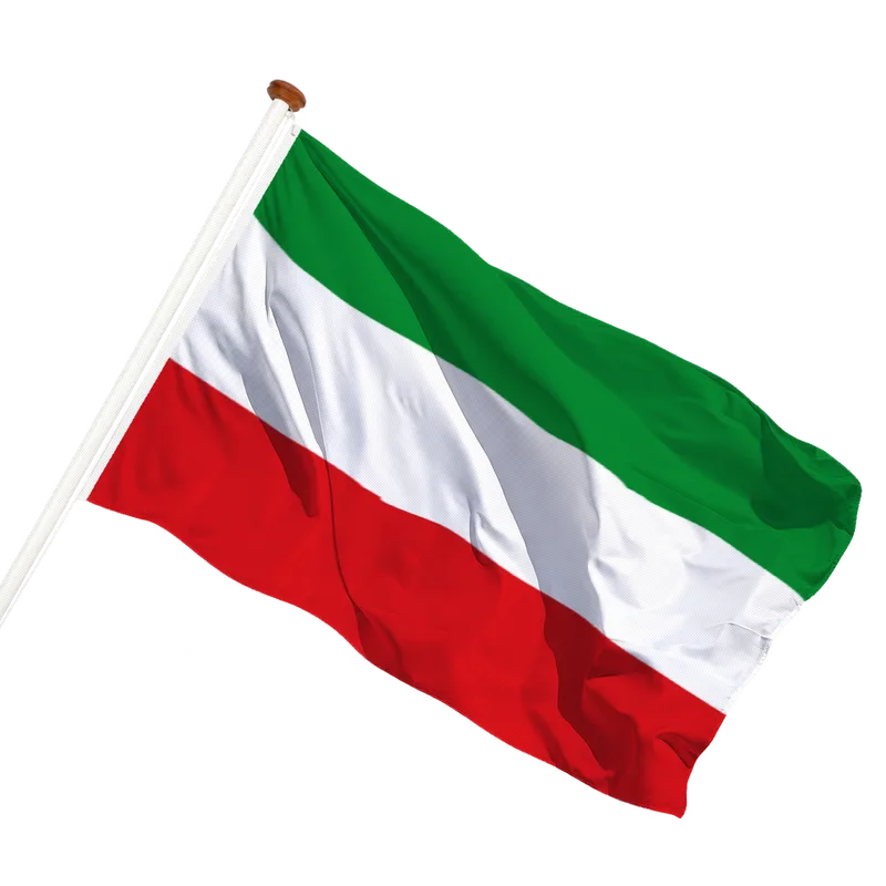 Vlag van Oudebildtzijl