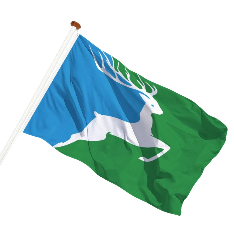 Vlag van De Steeg