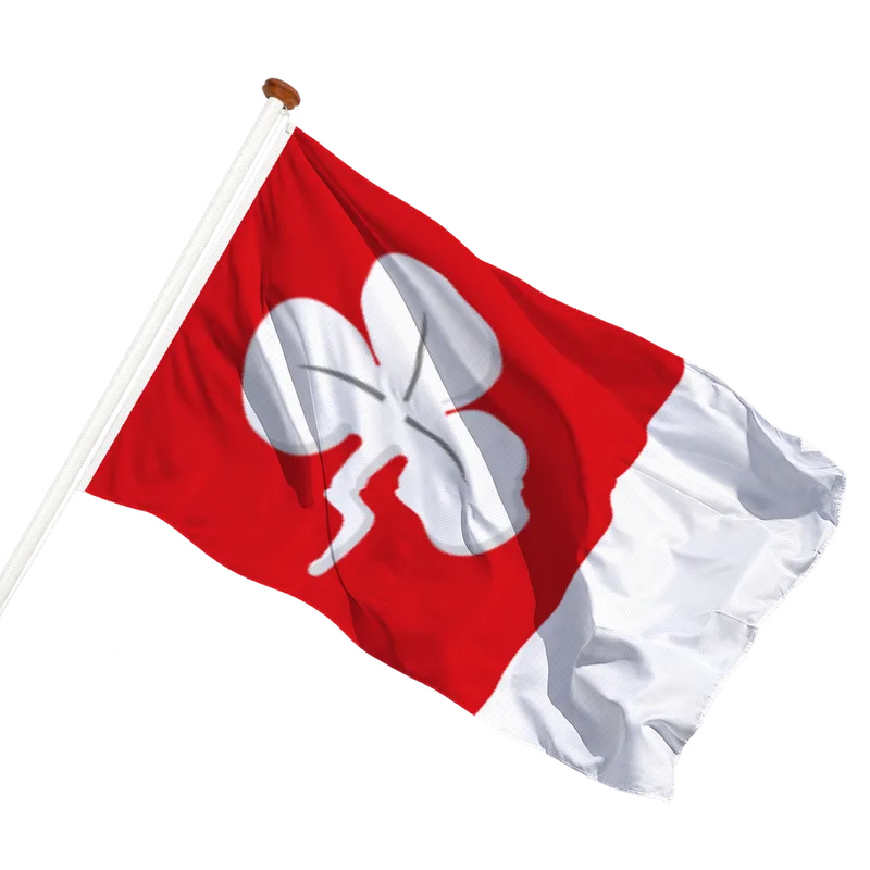Vlag van Deersum