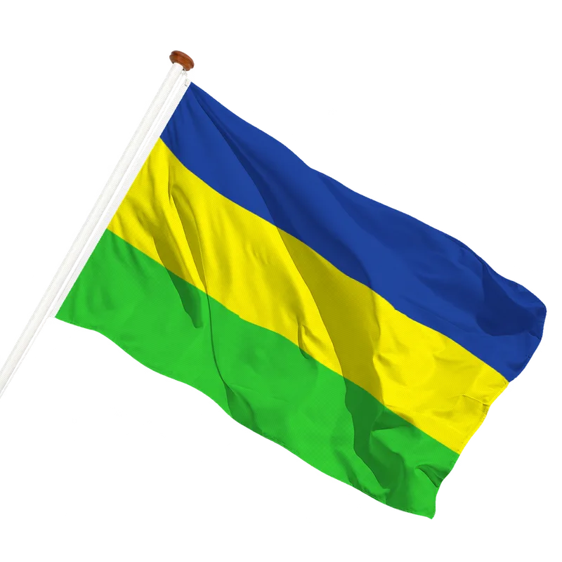 Vlag van Denekamp