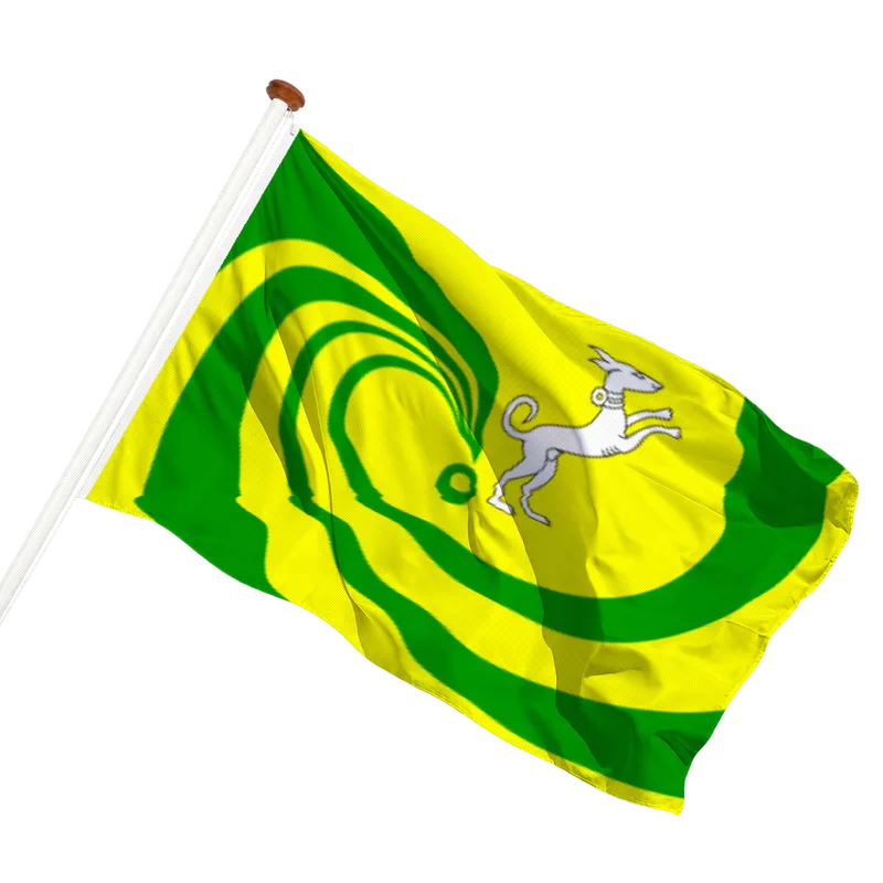 Vlag van Gieten