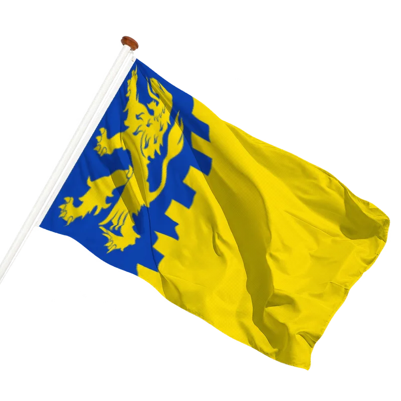 Vlag van Schelluinen