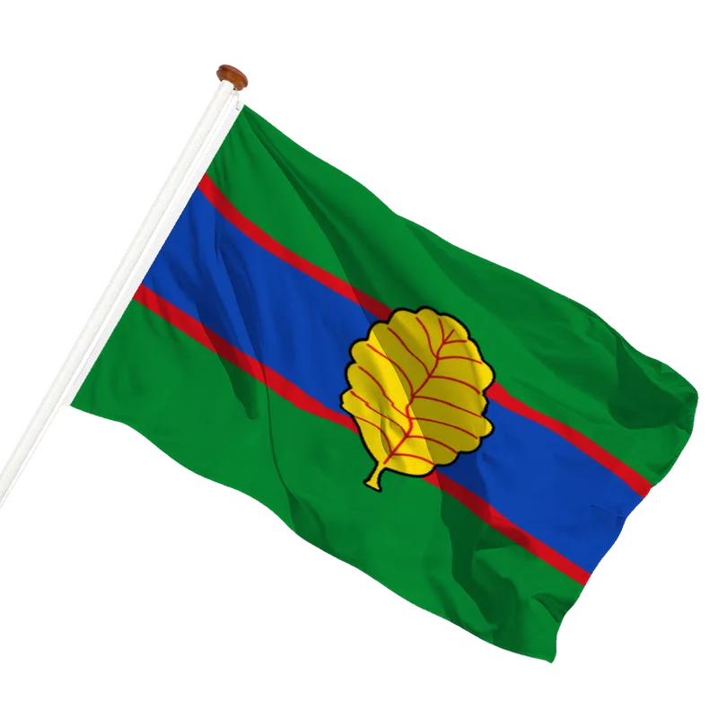 Vlag van Veenwoudsterwal