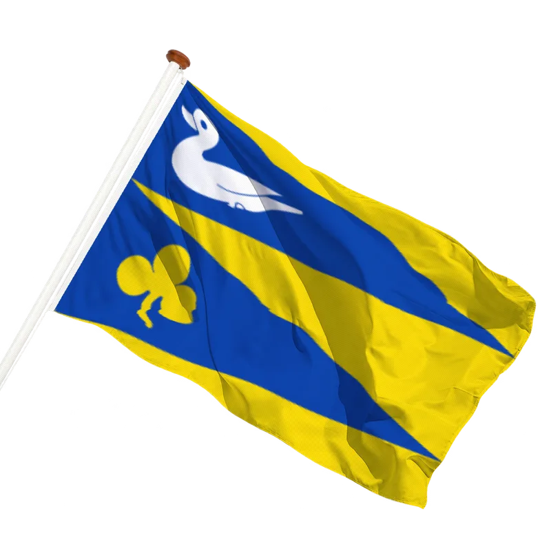 Vlag van Waaxens