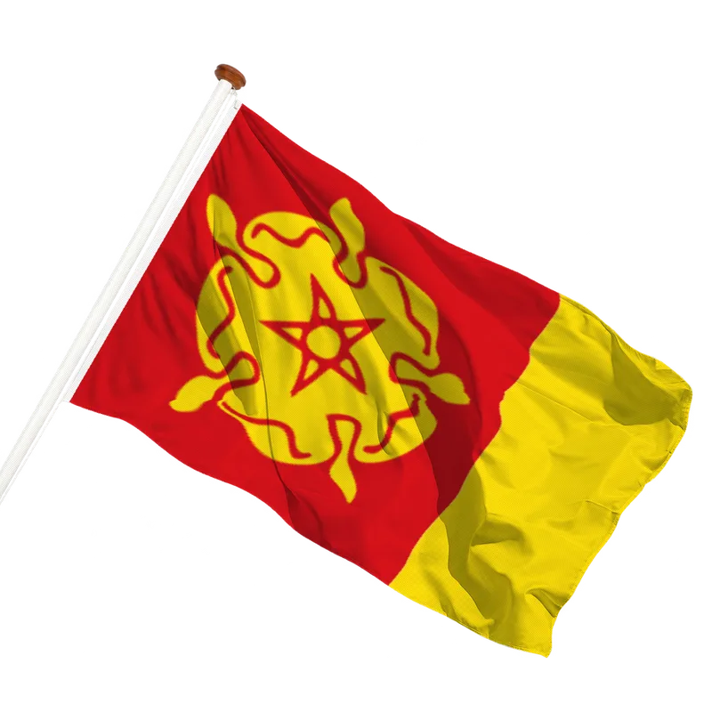 Vlag van Poppingawier