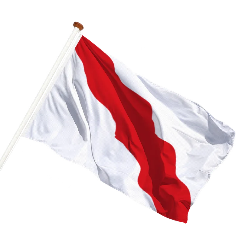 Vlag van Giessen