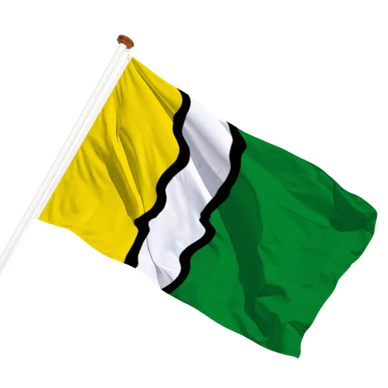 Vlag van Olst