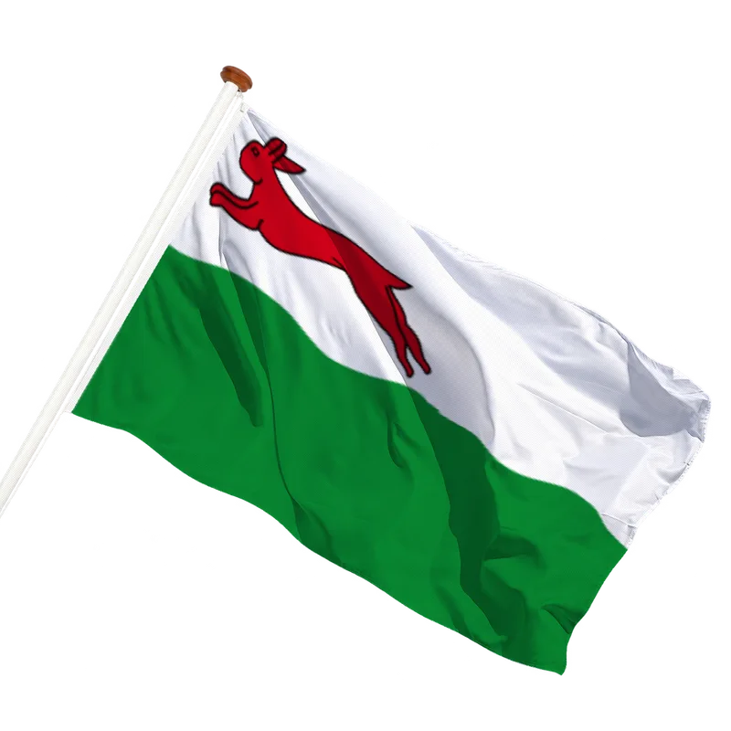 Vlag van Oudehaske