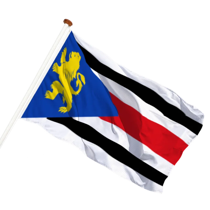 Vlag van Finsterwolde
