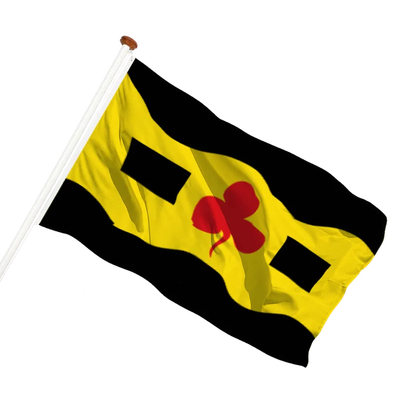Vlag van Nij Beets
