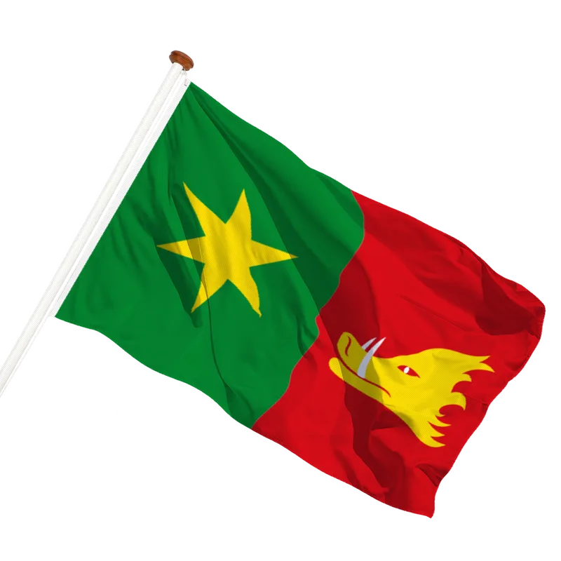 Vlag van Holten