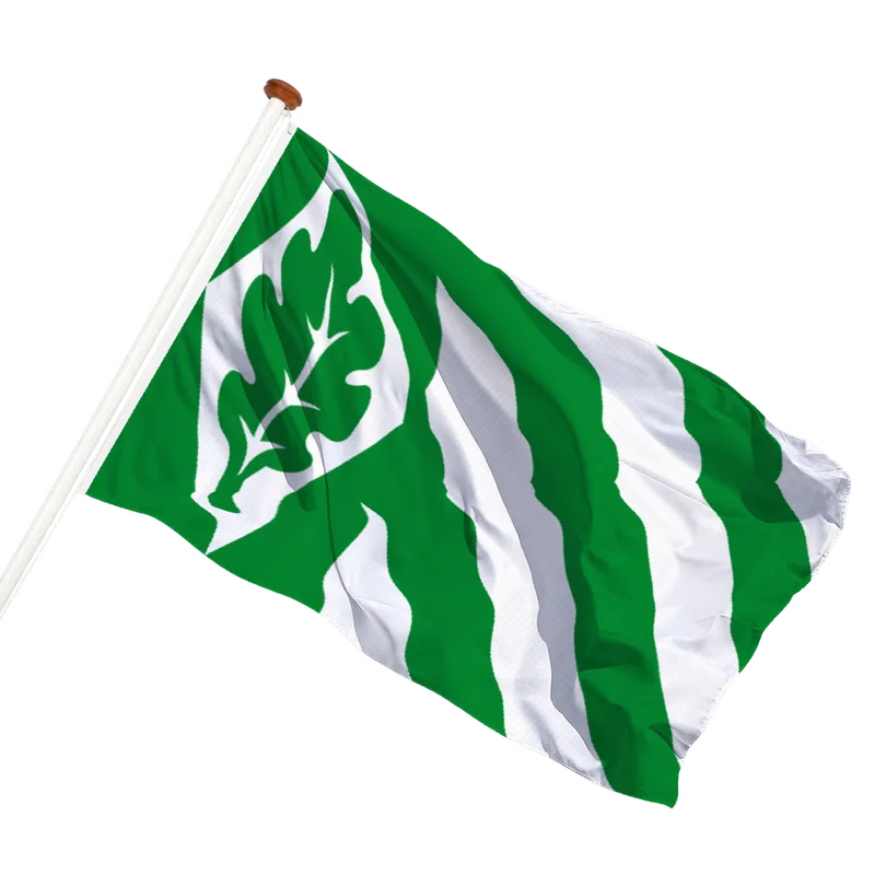 Vlag van Vriezenveen