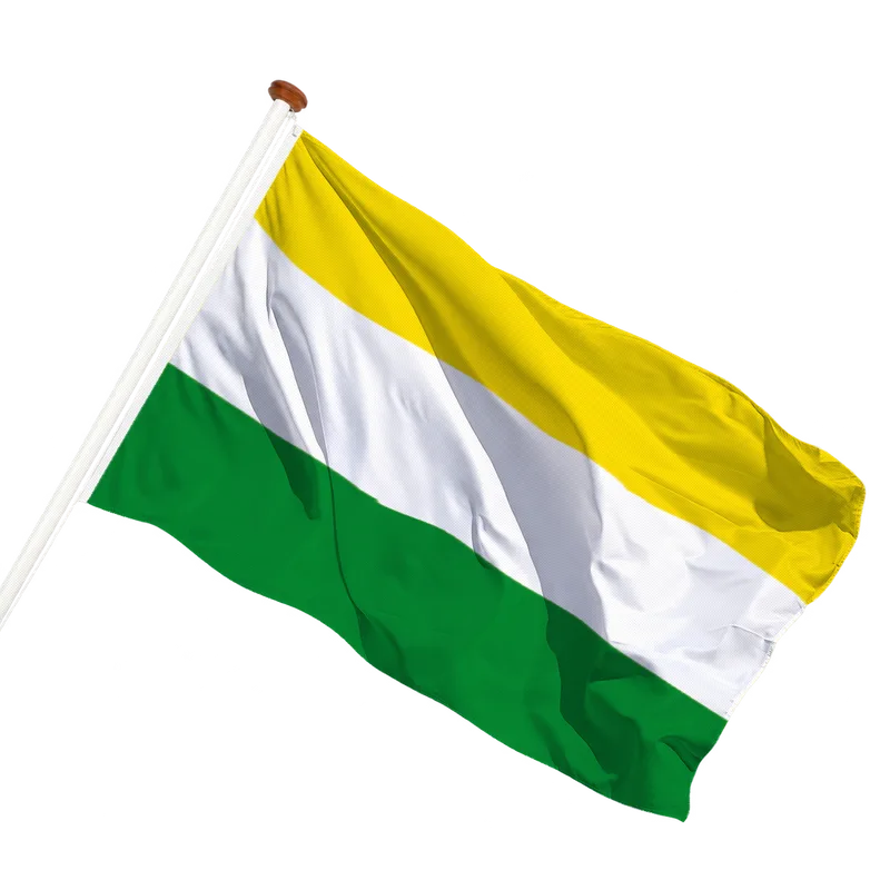 Vlag van Wijhe