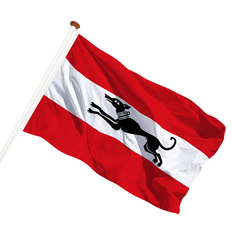 Vlag van Damme