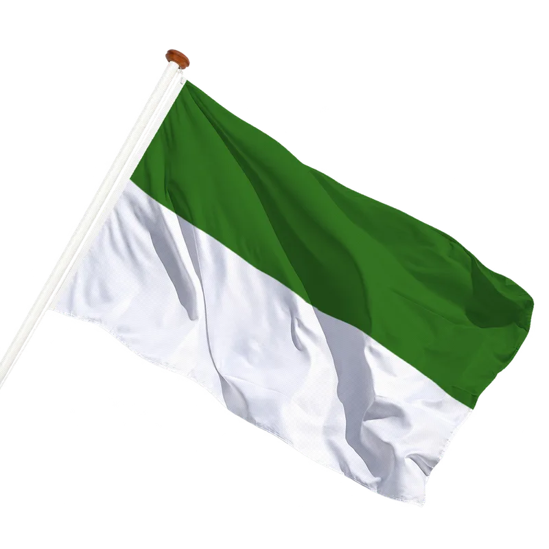 Vlag van Princenhage