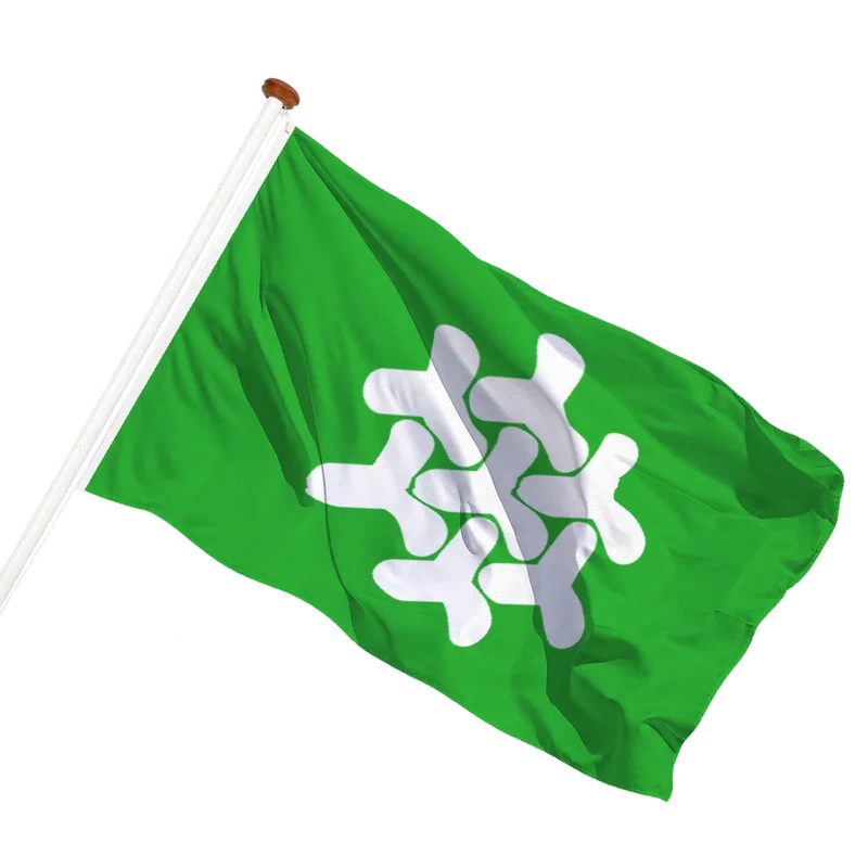 Vlag van Dronten