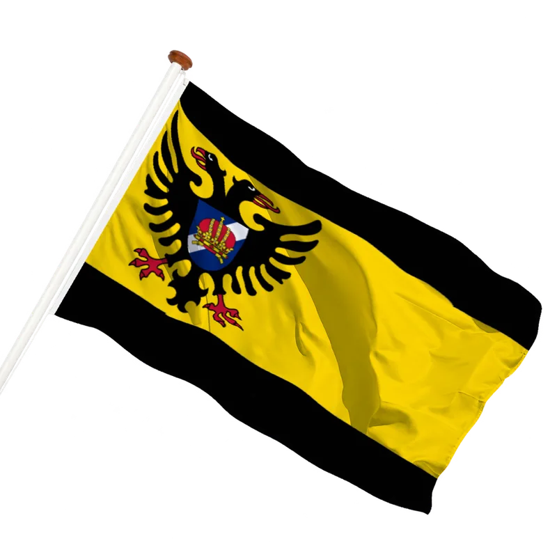 Vlag van Bolsward